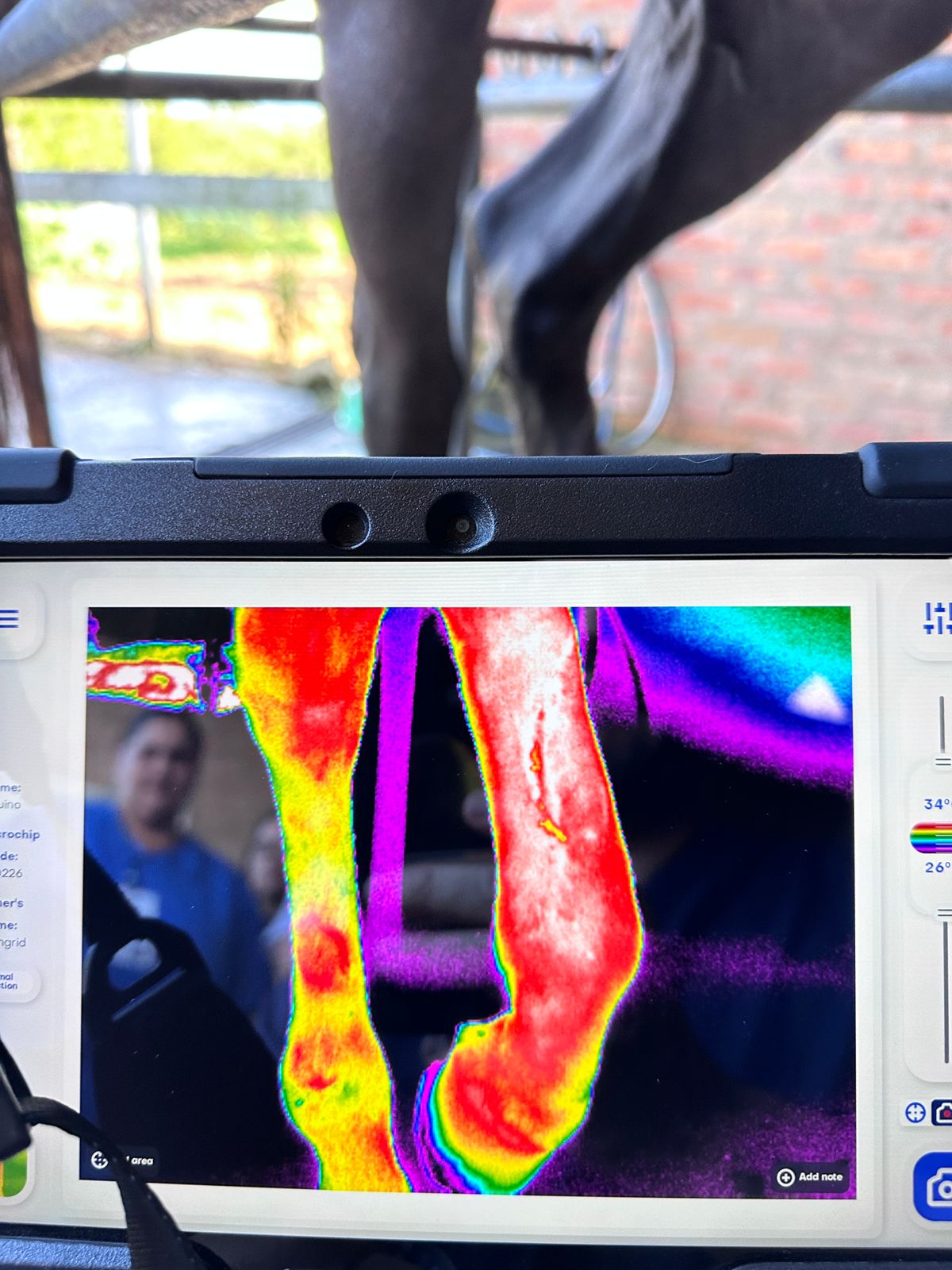 Stem Cell Isolation Techniques