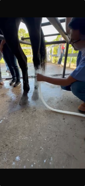 PRP Protocol Optimization