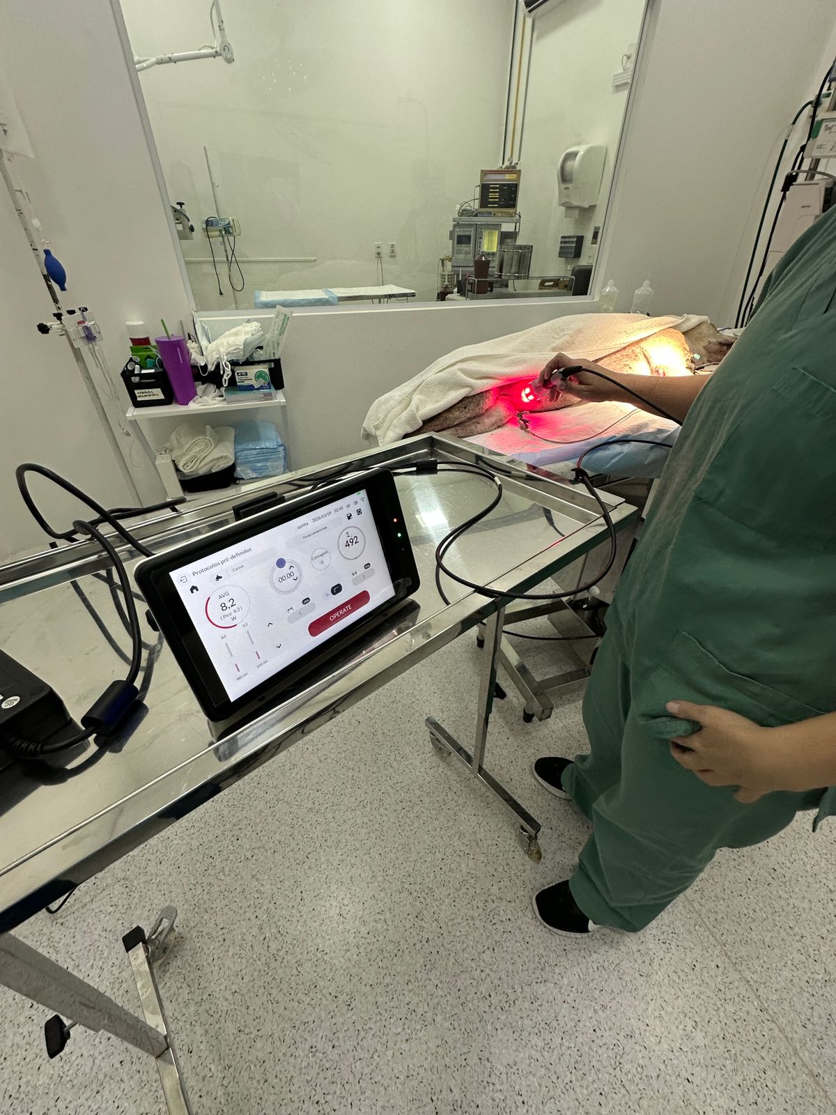 Equine Joint Regeneration